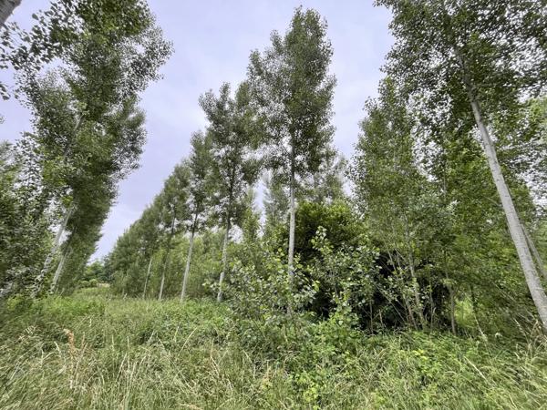 Vente Terrain 81675 m2 à Fismes