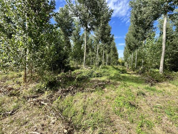 Vente Terrain 81675 m2 à Fismes