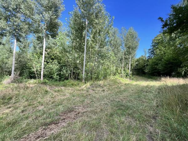 Vente Terrain 81675 m2 à Fismes