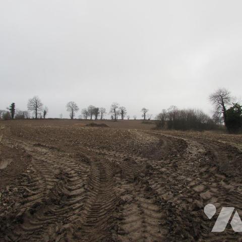 Chérencé Le Héron