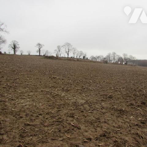 Chérencé Le Héron