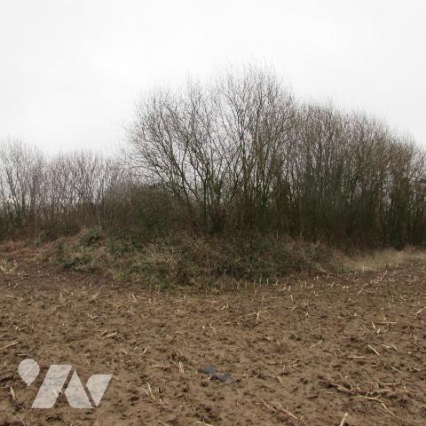 Chérencé Le Héron