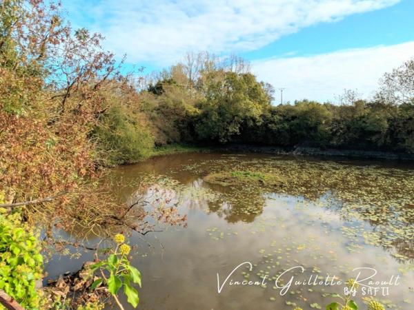 Maison 121m²- 300m² de dépendances-20000m² terrain