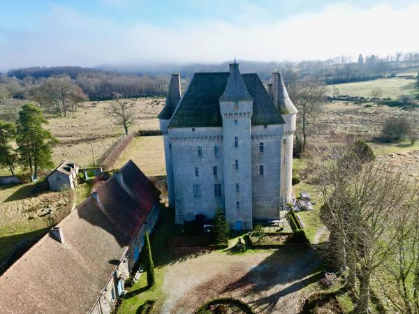 Château médiéval du XVème siècle - 13 ha, 2 appartements, cinéma, lac, héliport, piscine intérieure, spa