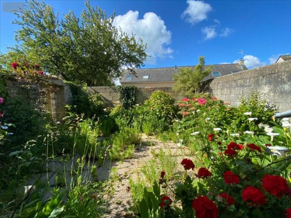 Maison rurale à vendre à Saint-Vaast-la-Hougue dans la Manche (50550), ref : 50088-1053606