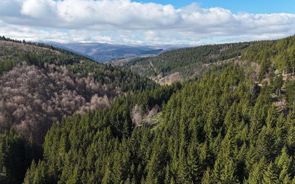 Maison à vendre    6 pièces •  Le Bleymard