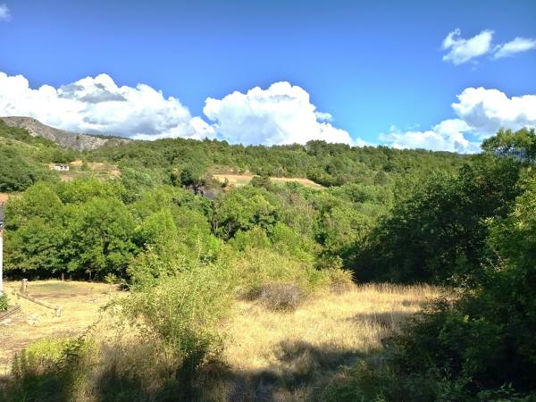 Terrain
        
        - 2745 m² 195 000 € *
