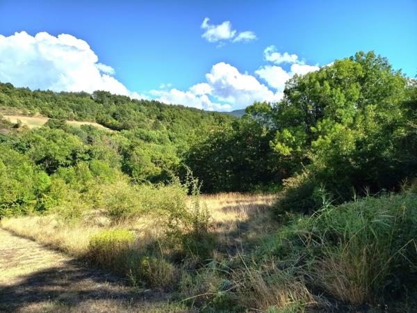 Terrain
        
        - 2745 m² 195 000 € *