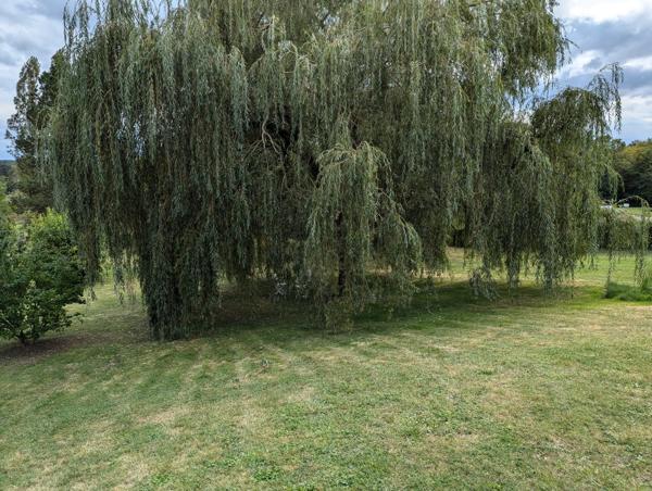 Maison de campagne sur parc arboré !