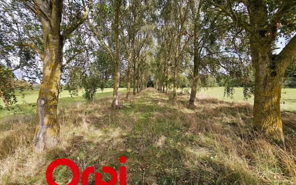 Maison à vendre    5 pièces •  Bernay