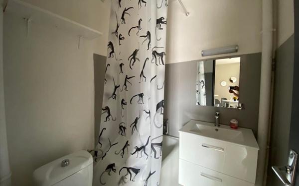 Appartement à louer    1 pièce •  Castres