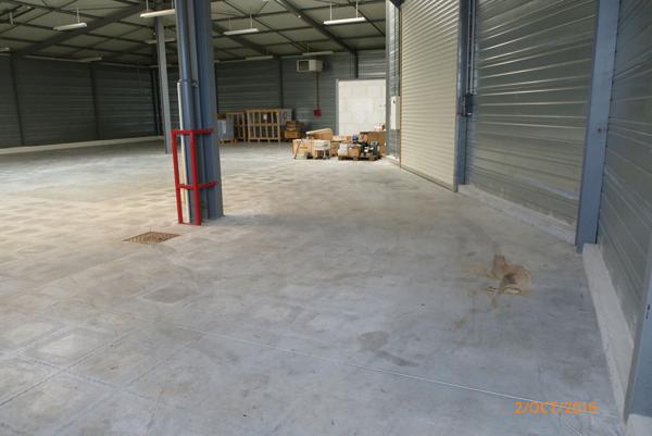 Local commercial Dannemarie Sur Crete 1030 m2 idéalement situé