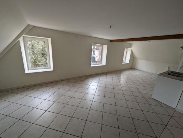 Location Appartement 4 pièces Sainte-Marie-aux-Mines (68160) - cv