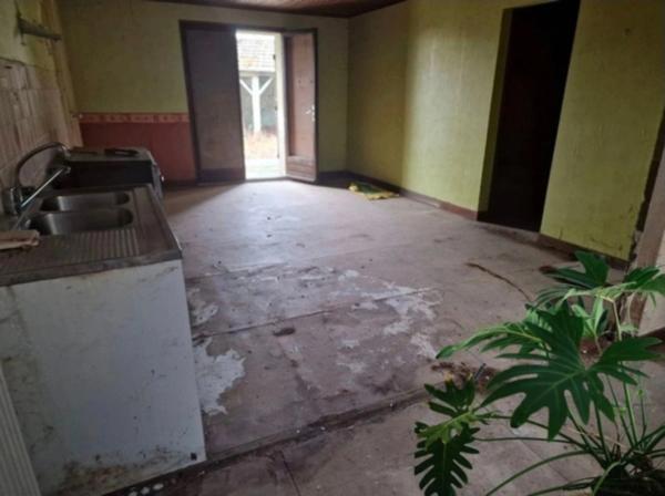 Ensemble immobilier : 2 MAISONS à vendre proche VITTEL (88) avec GARAGE et ATELIER - TERRAIN :+ 1700 m2