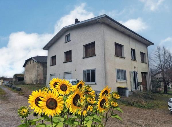 Ensemble immobilier : 2 MAISONS à vendre proche VITTEL (88) avec GARAGE et ATELIER - TERRAIN :+ 1700 m2