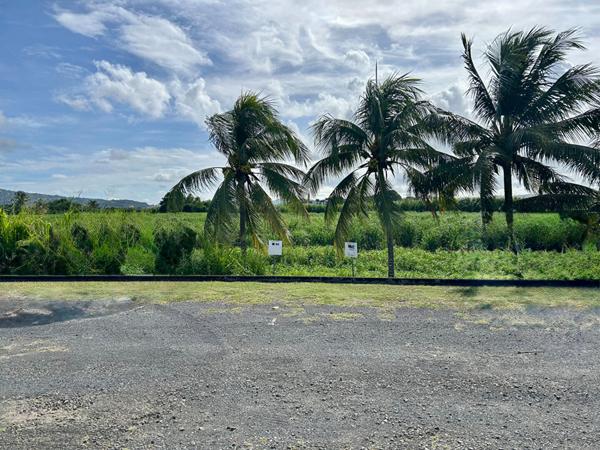 Bureaux Le Lamentin 122 m2