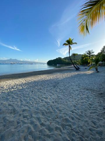 Les Trois-Îlets – Plage à pied - T3 de plain-pied - piscine – 83m2 au sol – Terrain 237m2 (972) - A vendre