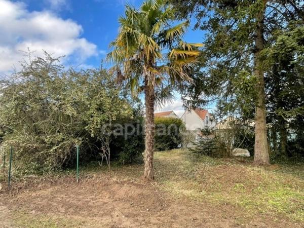 Terrain constructible de 450m2 à vendre OSNY (95)