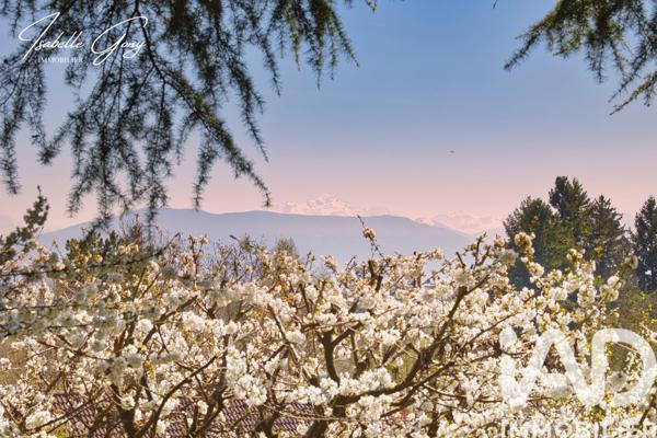 Maison à vendre 5 pièces 160 m² Divonne-les-Bains