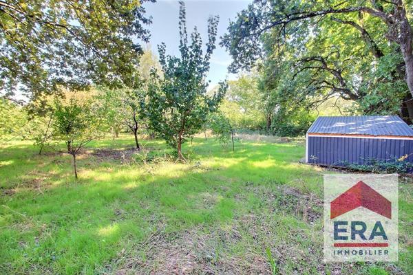 Maison Piolenc 7 pièce(s) 138 m2 - 985m² de terrain et studio de 42m2 loué