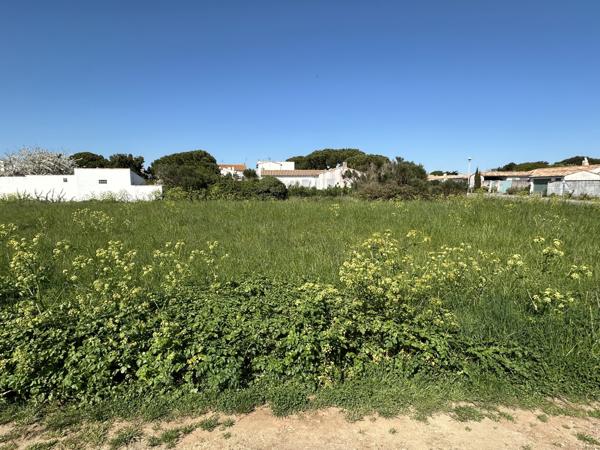 Terrain Loix 862m2