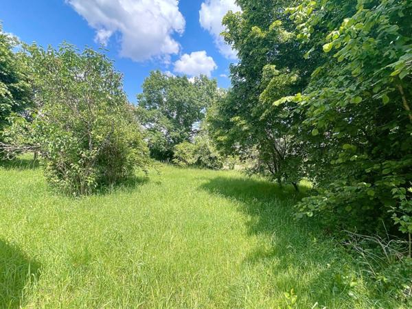 Maison familiale à fort potentiel  Saint-Benoît-sur-Loire (45730)