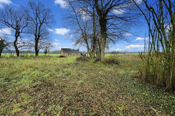 Maison 1 pièce - 105 m²