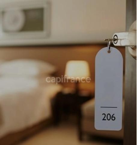 Opportunité d'acquisition Murs et Fonds Hotel 3 étoiles Restaurant proche de ANGERS (49)