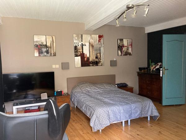 Carcassonne, maison 160m2 rénovée avec dépendances, cours, terrasses, jardin et piscine