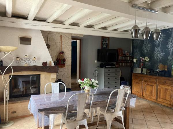 Carcassonne, maison 160m2 rénovée avec dépendances, cours, terrasses, jardin et piscine