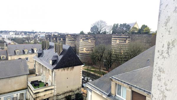 Beau studio proche gare avec vue sur le Château dAngers