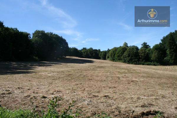 Vente                                                      Terrain
                        
                                         16300 m2                     à Josselin