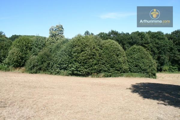 Vente                                                      Terrain
                        
                                         16300 m2                     à Josselin