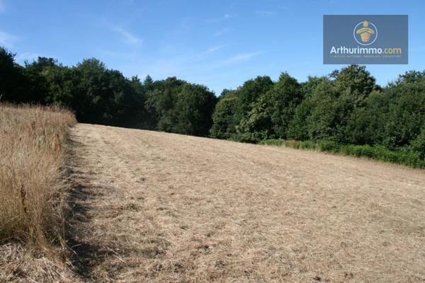 Vente                                                      Terrain
                        
                                         16300 m2                     à Josselin