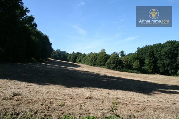 Vente                                                      Terrain
                        
                                         16300 m2                     à Josselin