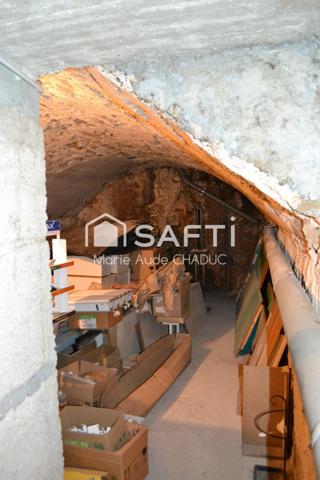 Immeuble 415 m2 avec local commercial libre