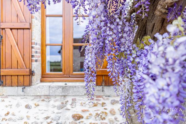 Magnifique Ferme rénovée, Propriété d'agrément.