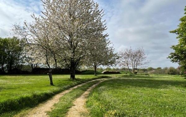 Vente Maison Nanteuil-en-vallee   