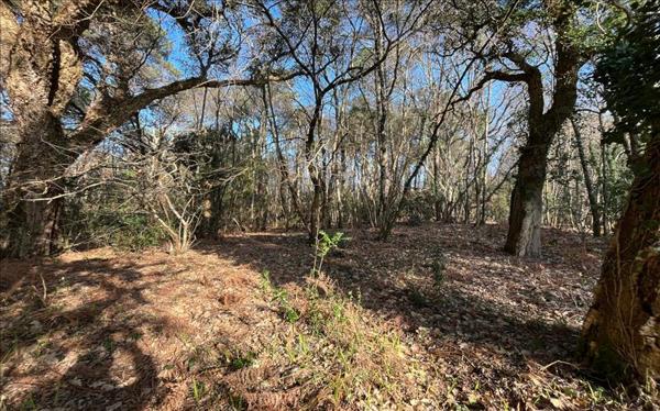 Terrain à vendre |  Vielle-Saint-Girons |  1604 m²