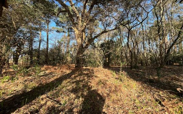 Terrain à vendre |  Vielle-Saint-Girons |  1604 m²