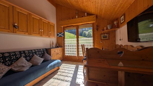 Appartement 2 Pièces avec bacon exposé plein Sud sans vis à vis avec vue imprenable sur les pites et sur les montagnes