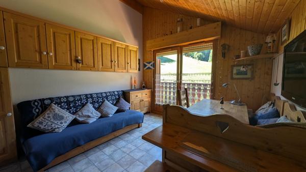 Appartement 2 Pièces avec bacon exposé plein Sud sans vis à vis avec vue imprenable sur les pites et sur les montagnes