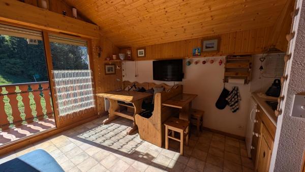 Appartement 2 Pièces avec bacon exposé plein Sud sans vis à vis avec vue imprenable sur les pites et sur les montagnes