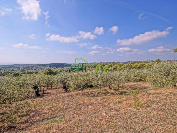 Maison 7 pièces - 260 m² Bien prestige