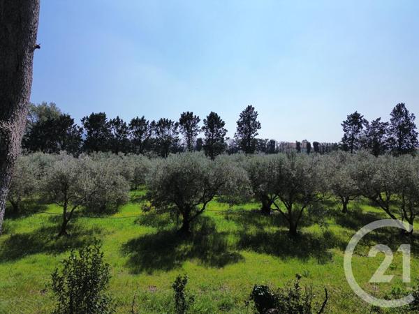 Maison à vendre  7 pièces - 197,47 m2 TAILLADES - 84