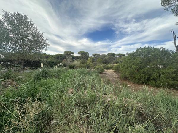 Immobilier Fréjus (83600) – Terrain constructible 462m2 – 220 000 €