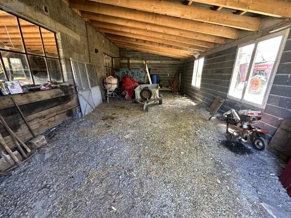 Maison à vendre à Neuvéglise-sur-Truyère dans le Cantal (15260), ref : 15046-47