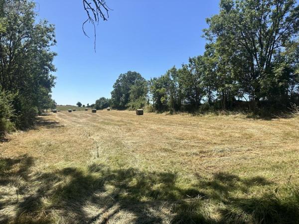 Maison à vendre à Neuvéglise-sur-Truyère dans le Cantal (15260), ref : 15046-47