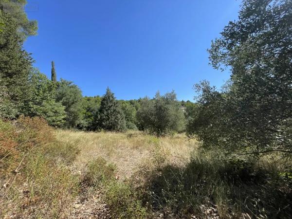 Achat - Terrain à bâtir Lieuran-Cabrières 34800 1030 m 2