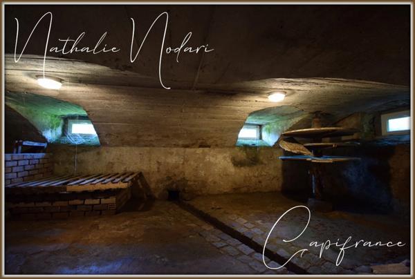 🏡 Ferme rénovée à vendre à La Bresse (Vosges) terrain de 1,67 hectare